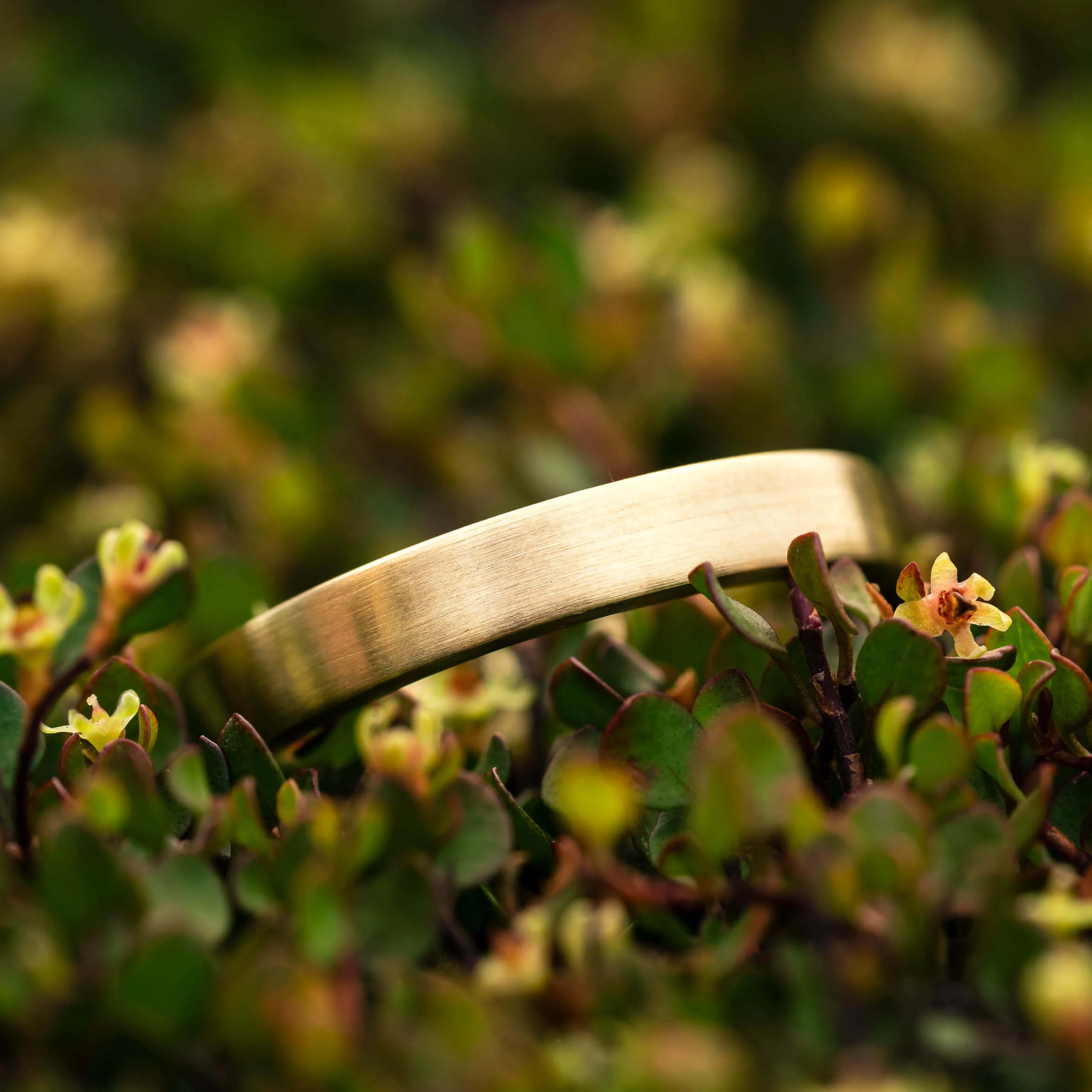 Vorschaubild 9
